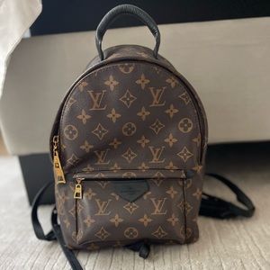 Louis Vuitton Palm Springs MM Backpack
